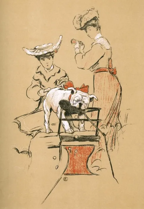 Framed Print : White bulldog puppy taken to Ascot Framed Print : White bulldog puppy taken to Ascot