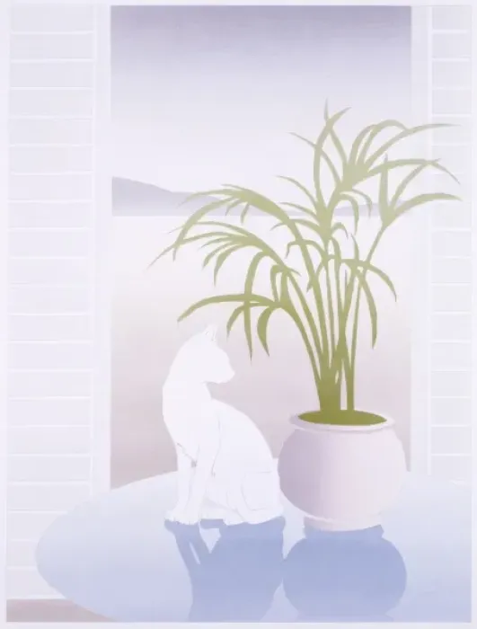 Framed Print : A white cat on a reflective table Framed Print : A white cat on a reflective table