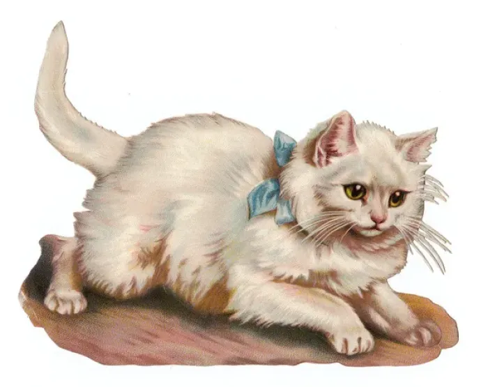 Framed Print : White cat on a Victorian scrap Framed Print : White cat on a Victorian scrap