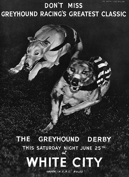 White City greyhound racing advertisement, 1938