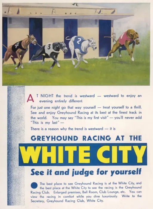 Framed Print : White City Greyhound Racing Advertisement Framed Print : White City Greyhound Racing Advertisement
