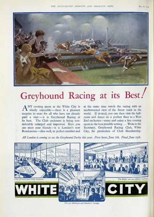 Framed Print : White City Greyhounds Framed Print : White City Greyhounds