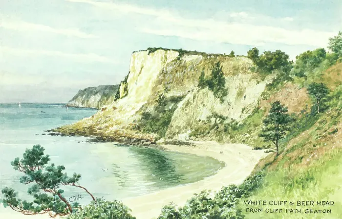 Framed Print : White Cliff and Beer Head, Seaton, Devon Framed Print : White Cliff and Beer Head, Seaton, Devon