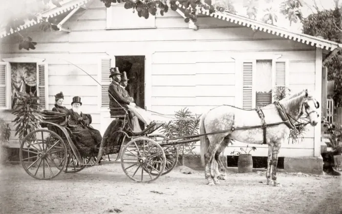 Framed Print : White couple in horse drawn buggy, Jamaica, c. 1890 Framed Print : White couple in horse drawn buggy, Jamaica, c. 1890