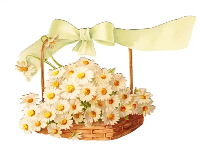 Framed Print : White daisies in a basket on a cutout greetings card Framed Print : White daisies in a basket on a cutout greetings card