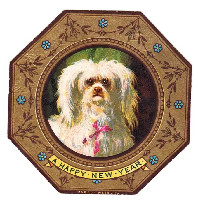 Framed Print : White dog on plate design on a New Year card