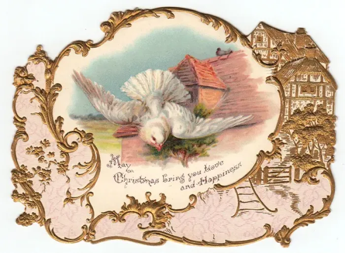 Framed Print : White dove on a Christmas card Framed Print : White dove on a Christmas card