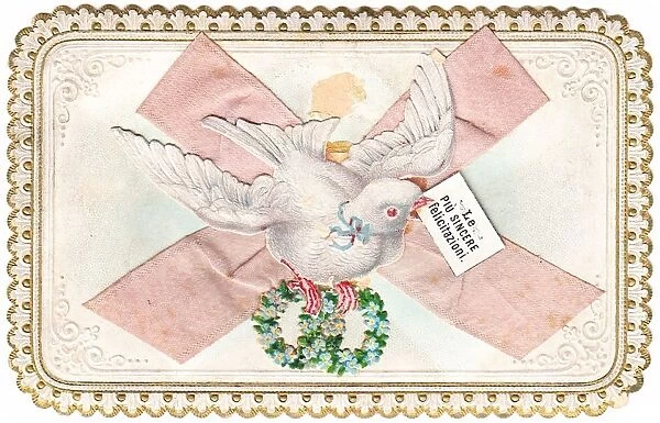 White dove on an Italian greetings card