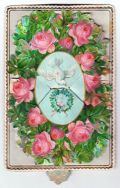 White dove and pink roses on a greetings card