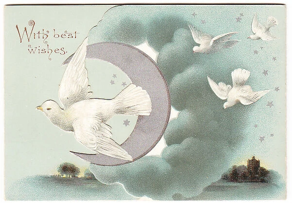 White doves on a Christmas card