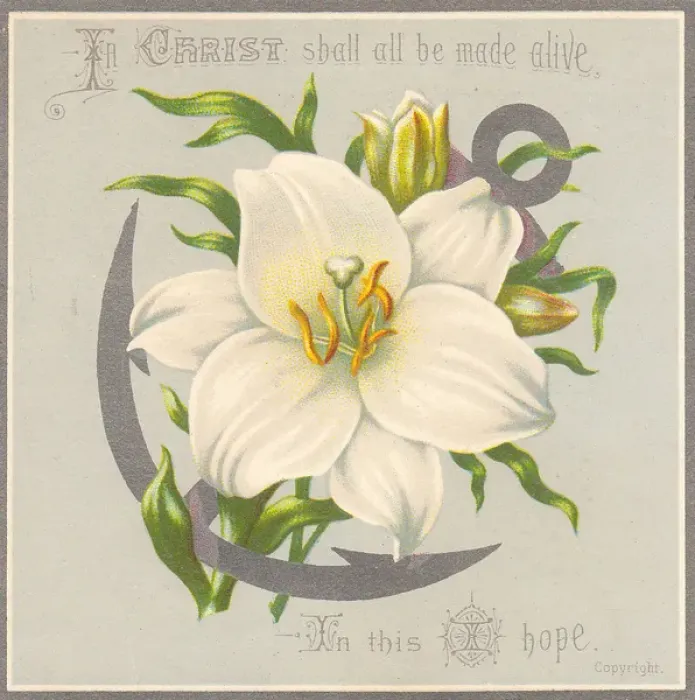 Framed Print : White flower and anchor on an Easter card Framed Print : White flower and anchor on an Easter card
