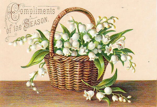 White flowers in a basket on a Christmas card
