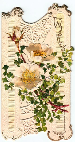 White flowers on a cutout greetings card