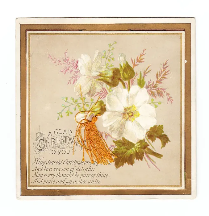 Framed Print : White flowers with orange tassel on a Christmas card Framed Print : White flowers with orange tassel on a Christmas card
