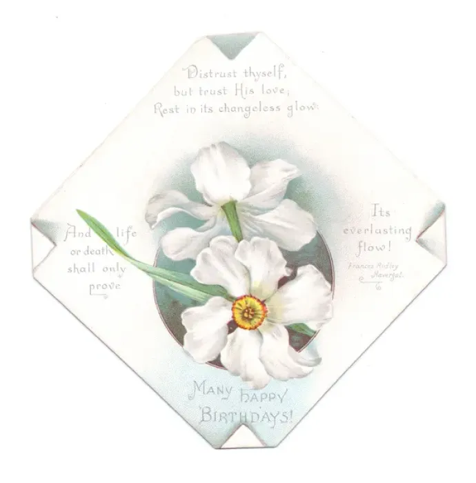 Framed Print : White flowers on a religious birthday card Framed Print : White flowers on a religious birthday card