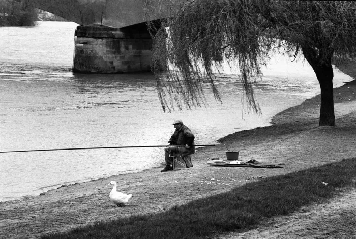 Framed Print : White goose and fisherman Beaumont sur Oise, France Framed Print : White goose and fisherman Beaumont sur Oise, France