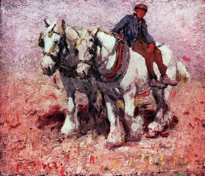Framed Print : Two White Horses