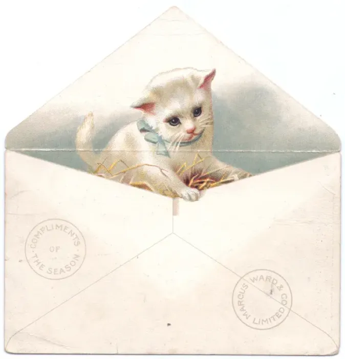 Framed Print : White kitten in an envelope on a Christmas card Framed Print : White kitten in an envelope on a Christmas card