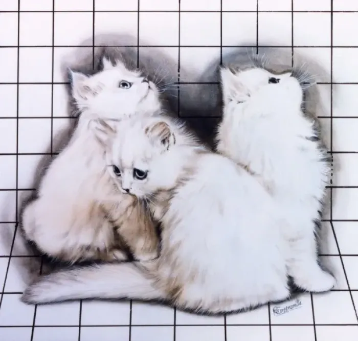 Framed Print : Three white kittens Framed Print : Three white kittens