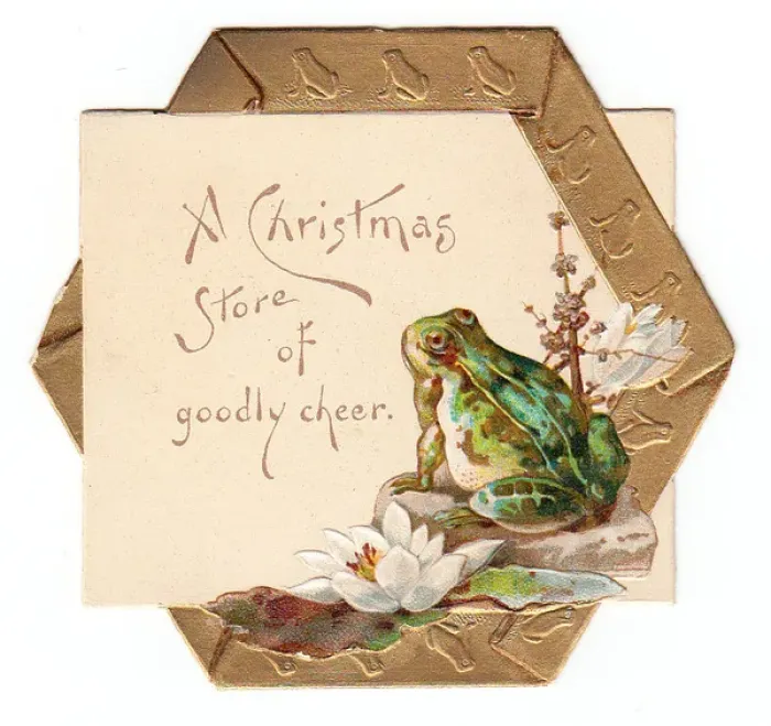 Framed Print : White lilies and frog on a hexagonal Christmas card Framed Print : White lilies and frog on a hexagonal Christmas card
