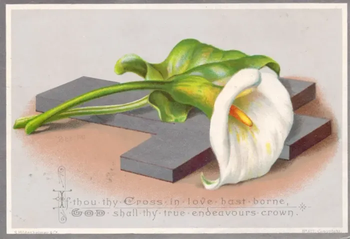 Framed Print : White lily and a cross on an Easter card Framed Print : White lily and a cross on an Easter card