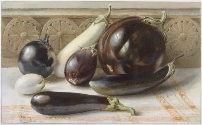 Framed Print : White & Purple Aubergine Framed Print : White & Purple Aubergine