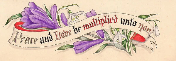 White and purple flowers on a hand-coloured card