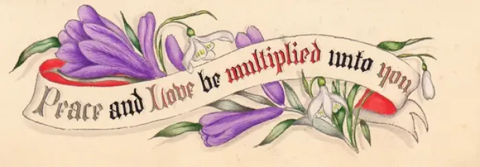 Framed Print : White and purple flowers on a hand-coloured card Framed Print : White and purple flowers on a hand-coloured card