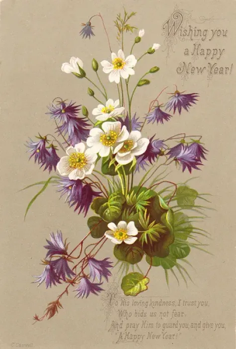 Framed Print : White and purple flowers on a New Year card Framed Print : White and purple flowers on a New Year card