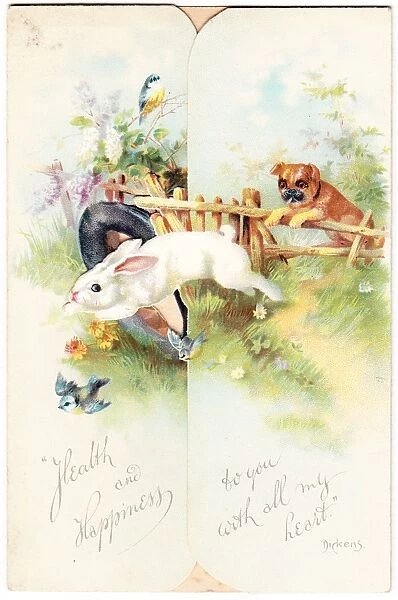 White rabbit and dog on a greetings card