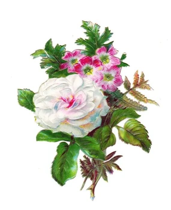 Framed Print : White rose and other flowers on a Victorian scrap Framed Print : White rose and other flowers on a Victorian scrap