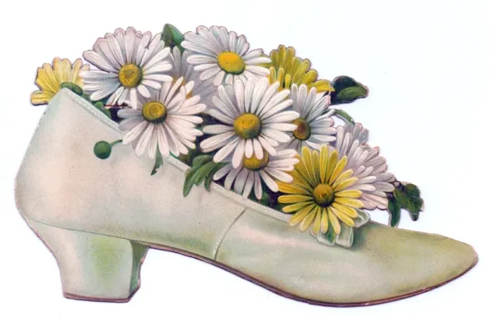 Framed Print : White and yellow daisies in a shoe-shaped greetings card Framed Print : White and yellow daisies in a shoe-shaped greetings card