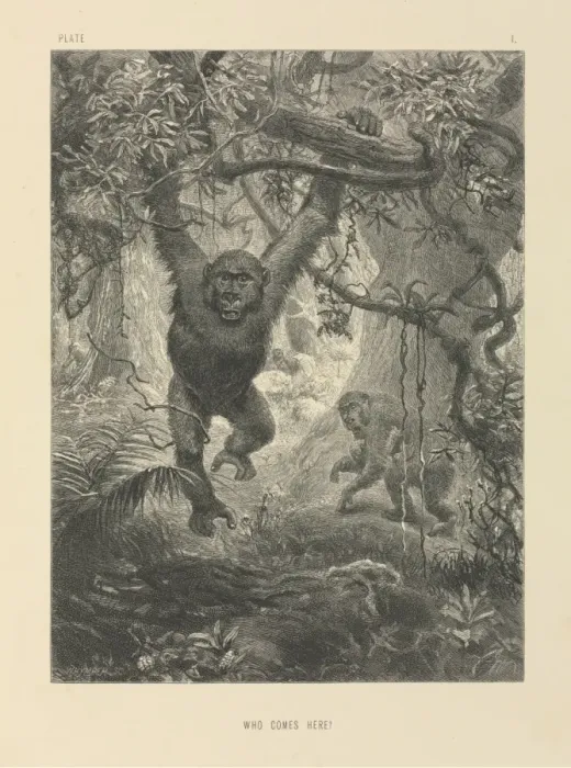Framed Print : Who Comes Here? Framed Print : Who Comes Here?