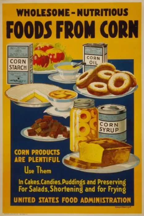 Framed Print : Wholesome - nutritious foods from corn Framed Print : Wholesome - nutritious foods from corn