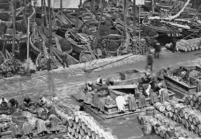 Framed Print : Wick Harbour Herring Boats Scotland Victorian period Framed Print : Wick Harbour Herring Boats Scotland Victorian period