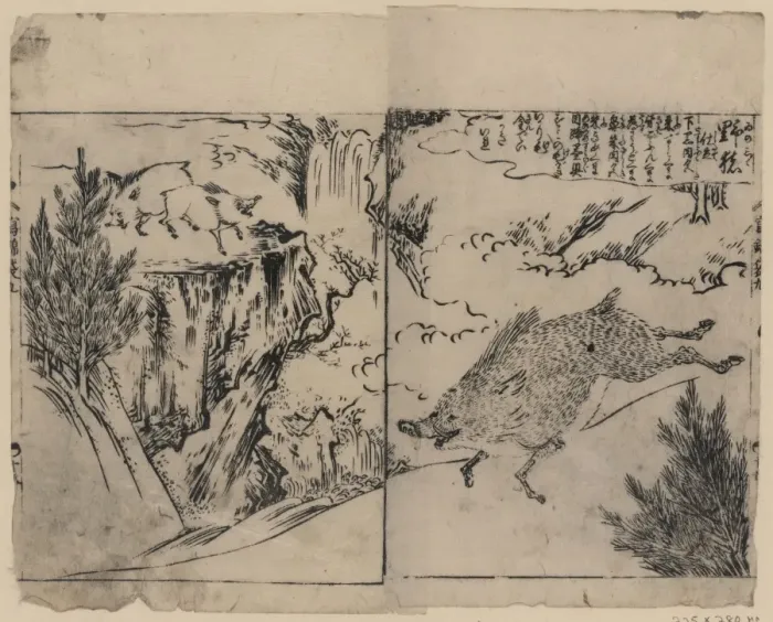 Framed Print : Wild boars running, on cliffs, and near pine trees Framed Print : Wild boars running, on cliffs, and near pine trees