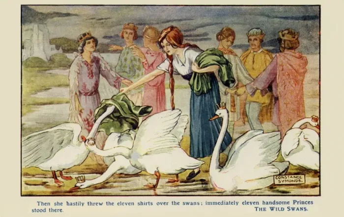 Framed Print : The Wild Swans Framed Print : The Wild Swans