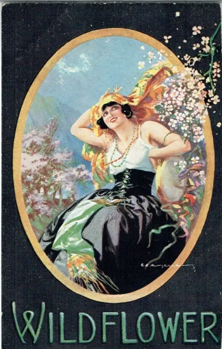 Framed Print : Wildflower by Oscar Hammerstein & Otto Harbach Framed Print : Wildflower by Oscar Hammerstein & Otto Harbach