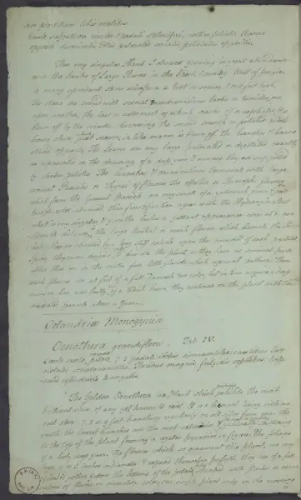 Framed Print : William Bartrams letter to Robert Barclay, 1788 Framed Print : William Bartrams letter to Robert Barclay, 1788