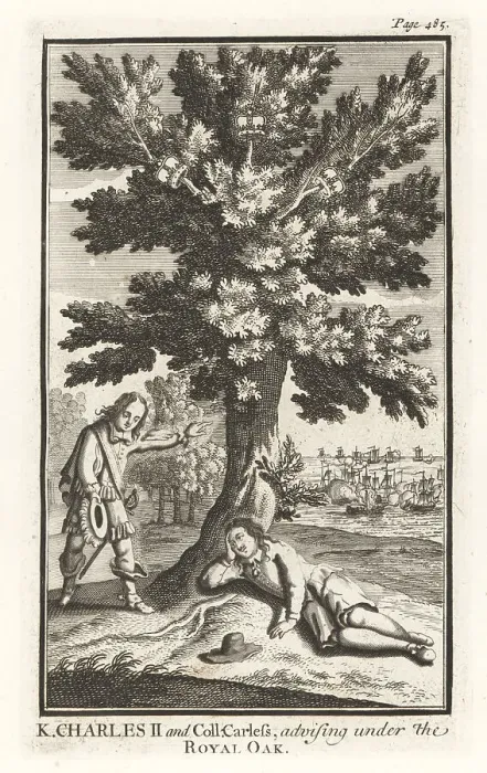 Framed Print : William Careless hiding King Charles II in an oak tree, 1651