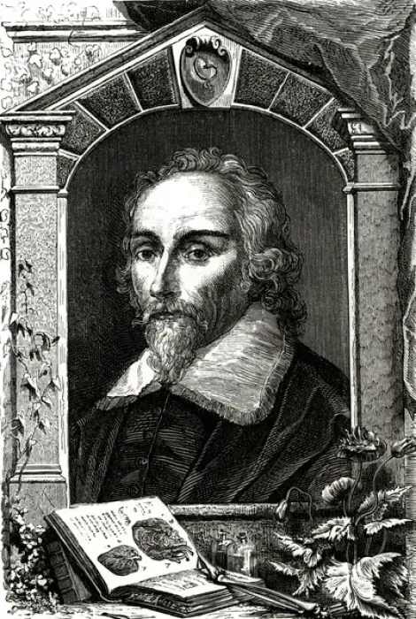 Framed Print : William Harvey / Figuier Framed Print : William Harvey / Figuier