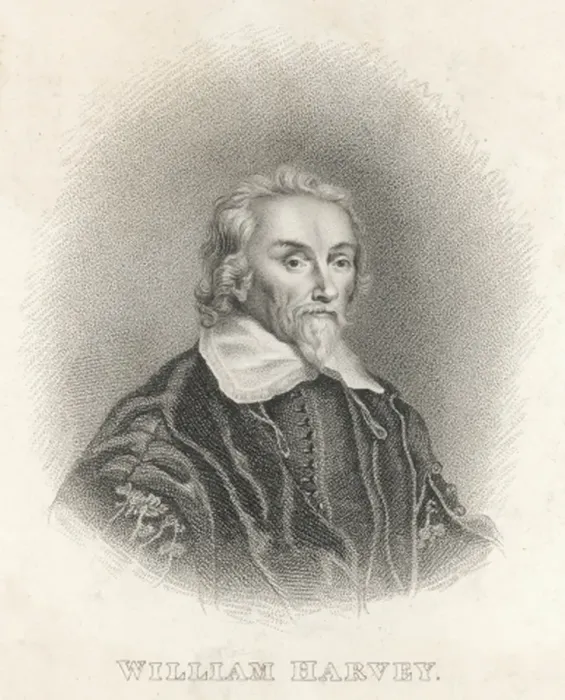 Framed Print : William Harvey / Thomson Framed Print : William Harvey / Thomson