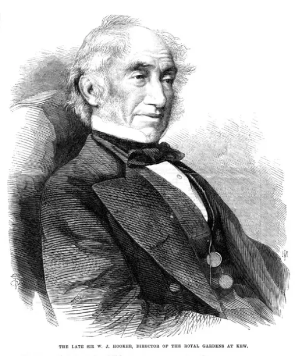 Framed Print : William Jackson Hooker Framed Print : William Jackson Hooker