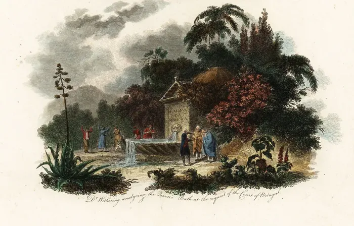 Framed Print : William Withering at Caldas da Rainha, 1794 Framed Print : William Withering at Caldas da Rainha, 1794