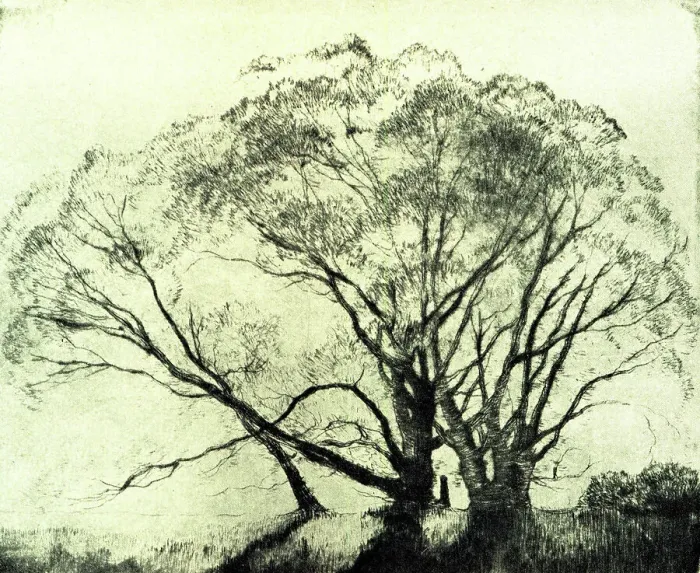 Framed Print : The Willows Framed Print : The Willows