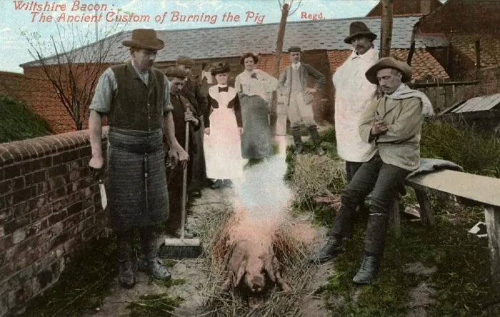Framed Print : Wiltshire Bacon - Ancient Custom of Burning the Pig Framed Print : Wiltshire Bacon - Ancient Custom of Burning the Pig