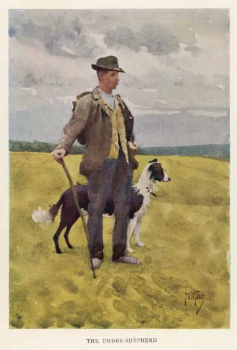 Framed Print : Wiltshire Shepherd Framed Print : Wiltshire Shepherd