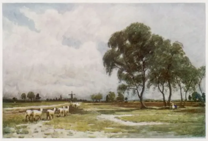 Framed Print : Wimbledon Common 1907 Framed Print : Wimbledon Common 1907
