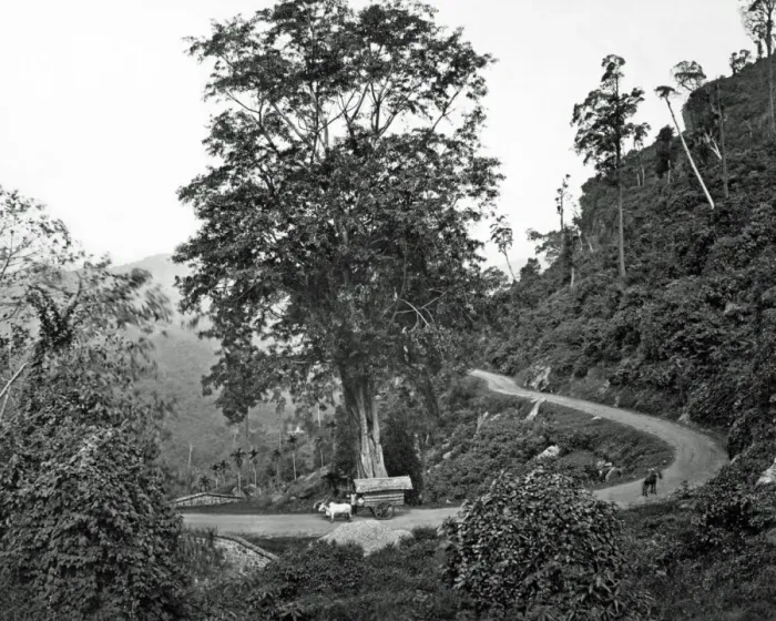 Framed Print : Winding country road, Ceylon (Sri Lanka) Framed Print : Winding country road, Ceylon (Sri Lanka)