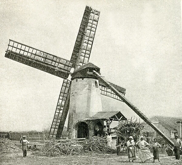 Windmill for processing sugar cane, Barbados, West Indies